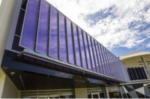 בניה הירוקה